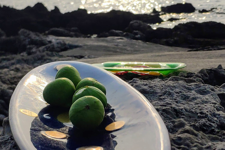 Bioenergijski krožniki