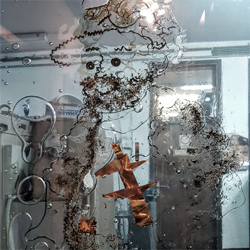 Suho cvetje v steklu