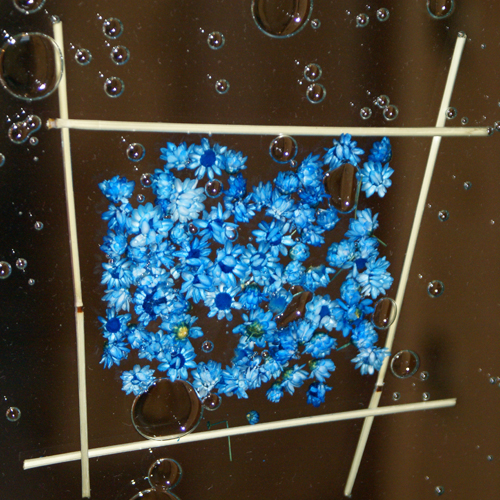 Suho cvetje v steklu